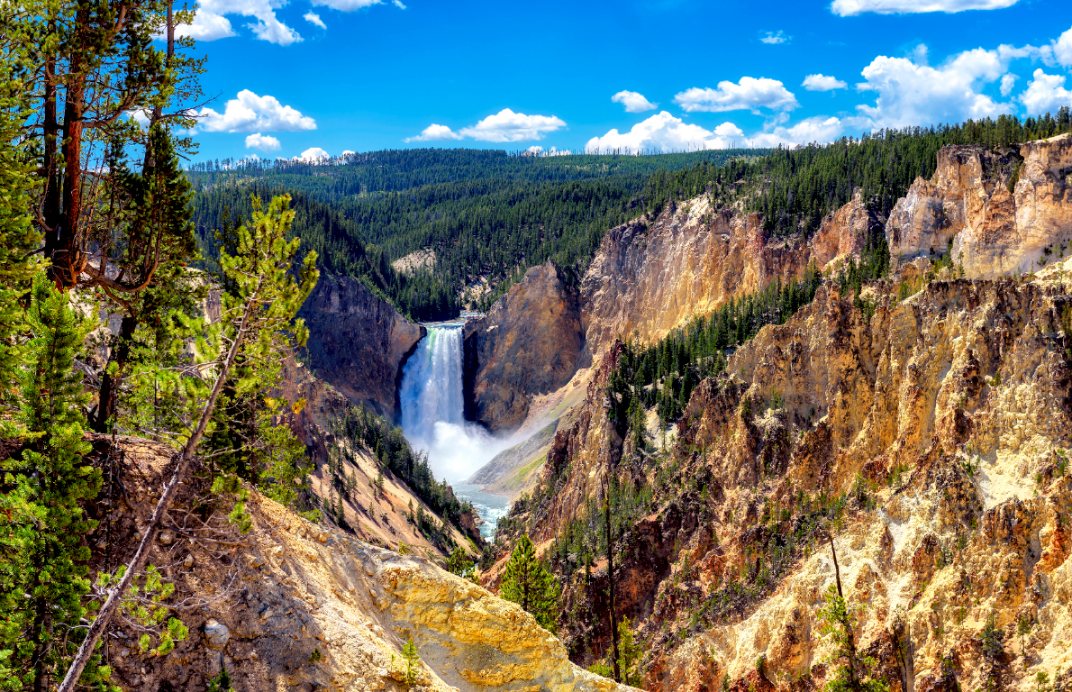 Montana Yellowstone National Park from The Most Instagrammable Place